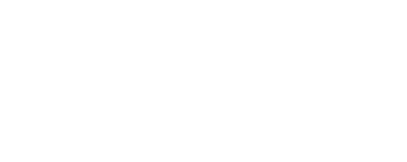 Wagner Ferreira